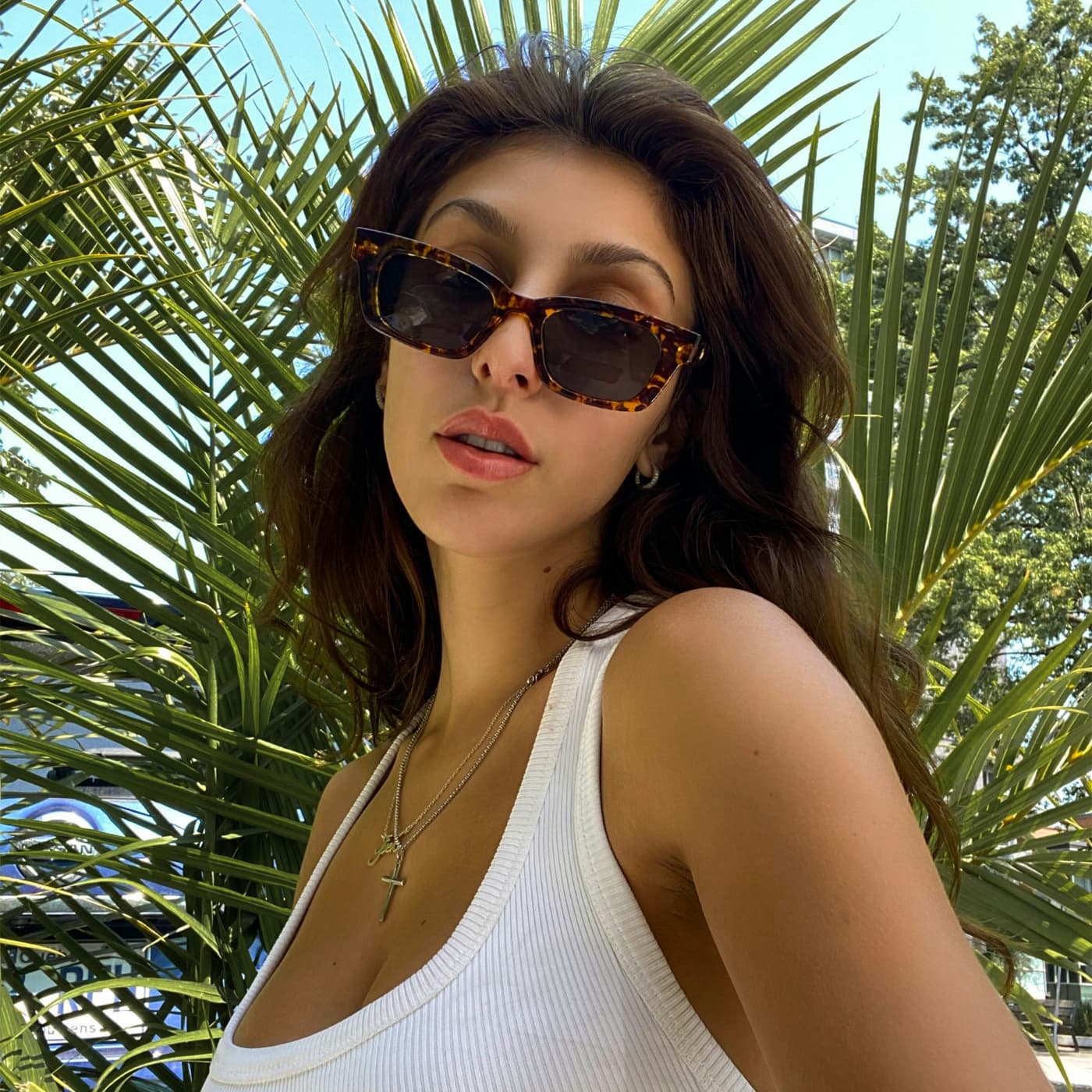 Sunglasses collection